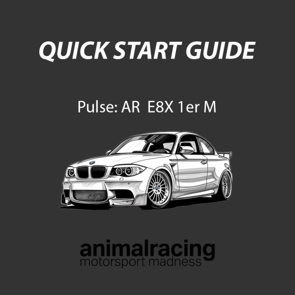 Quickstart Guide passend zu Modell: E8x (1er-M)